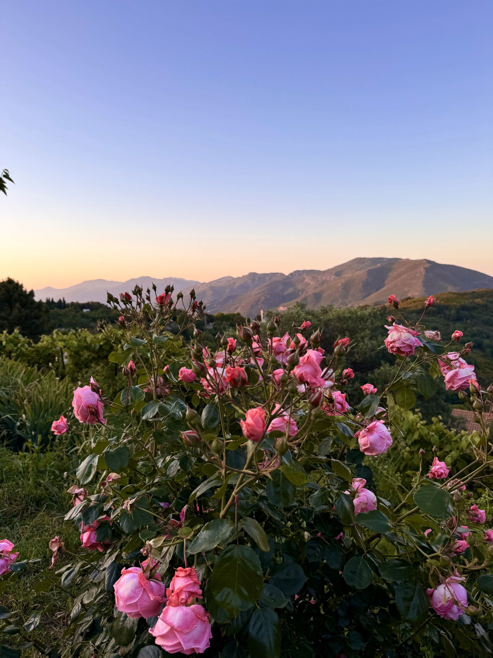 Randonnées et Activités